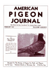Magazine Cover